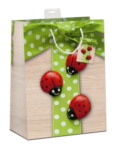 Geschenktasche Glücksmotive groß Set/10