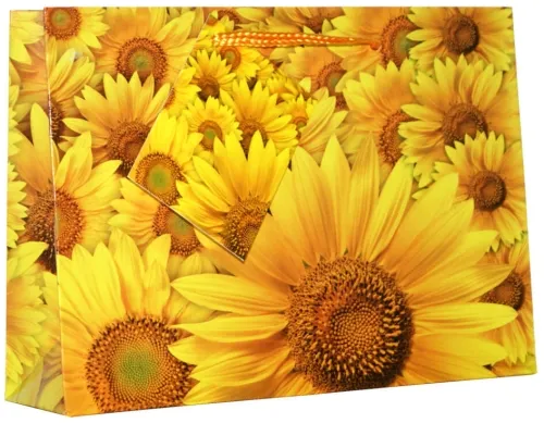 Geschenktaschen Flora mini quer Set/20