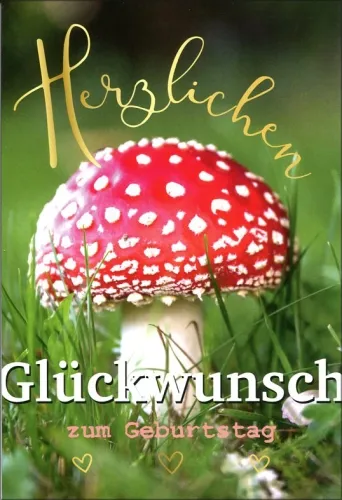 Grußkarten Geburtstag Fortuna Set/100