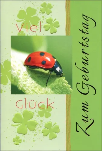 Grußkarten Geburtstag Fortuna Set/100