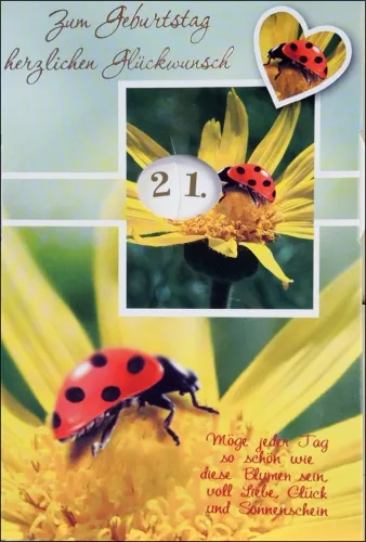 Grußkarten Geburtstag Harmonie drehbar Set/40