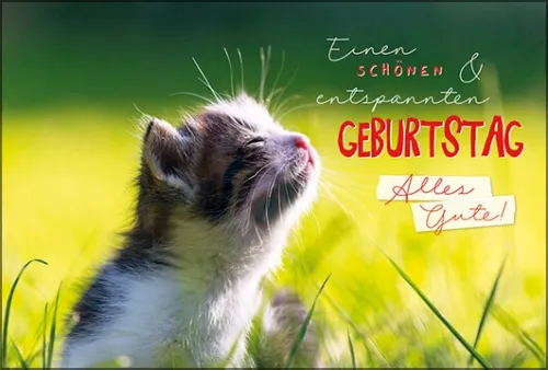 Grußkarten Geburtstag Niedliche Tiere Set/30