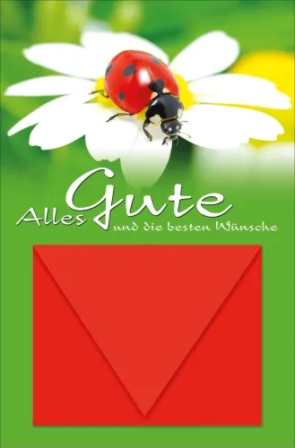 Grußkarten Geldbrief Extrakohle Multiset Set/30