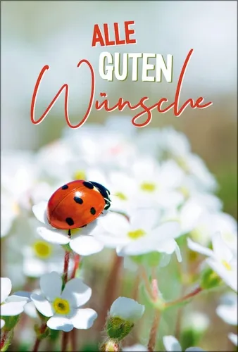 Grußkarten versch. Sonderanlässe Emotionen Multi-Set/30