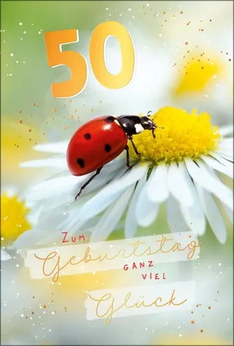 Grußkarten Zahlengeburtstag 50. Geburtstag refill Set/20