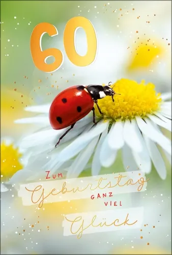 Grußkarten Zahlengeburtstag 60. Geburtstag refill Set/20