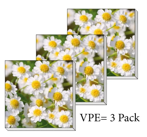Servietten ti-flair Margeritten Pack/3