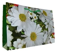 Geschenktaschen Flora Groß quer Set/10