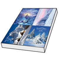 Grußkarten Weihnachten Winterlandschaften Set/100