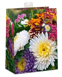 Geschenktasche Floranova groß Set/10