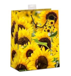 Geschenktasche Floranova mittel Set/20