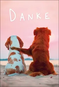 Grußkarten Emotionen Danke Set/20