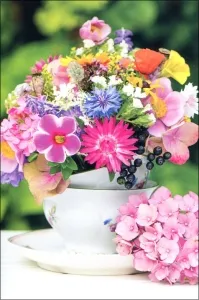 Grußkarten Flora Primo Multiset Set/20