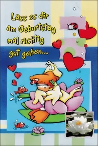 Grußkarten Geburtstag Humor Crazy Set/30
