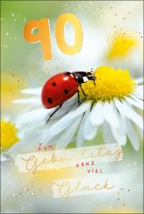 Grußkarten Zahlengeburtstag 90. Geburtstag refill Set/20