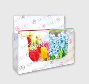Mini-Karten Frühling Set/60